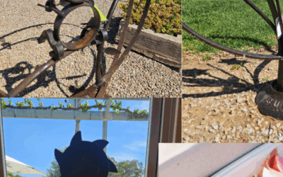 Jones Winery Craft Market – Sunday 30th Nov.