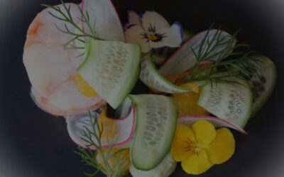 Gourmet Christmas Menu Packs